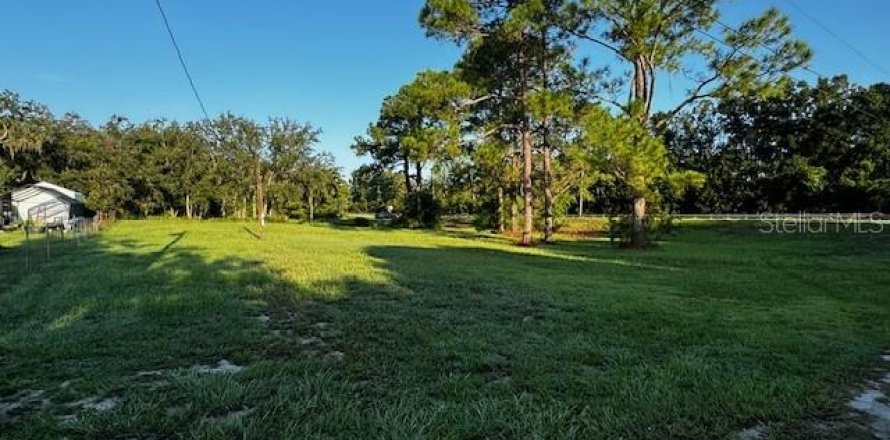 Terreno en Lake Wales, Florida № 1369437