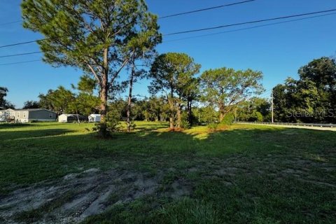 Terreno en venta en Lake Wales, Florida № 1369437 - foto 3