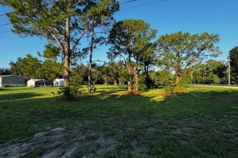 Terreno en venta en Lake Wales, Florida № 1369437 - foto 4