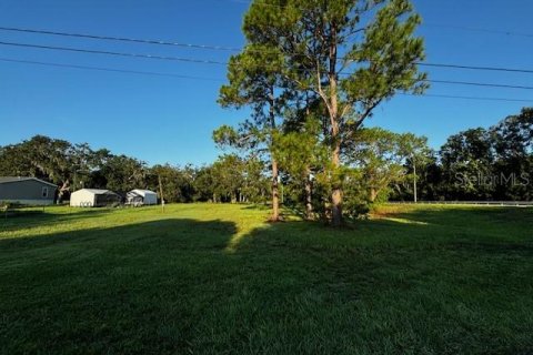 Terreno en venta en Lake Wales, Florida № 1369437 - foto 2