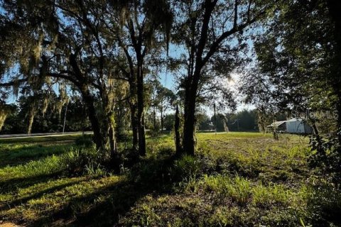 Terreno en venta en Lake Wales, Florida № 1369437 - foto 10