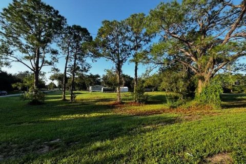 Terreno en venta en Lake Wales, Florida № 1369437 - foto 7