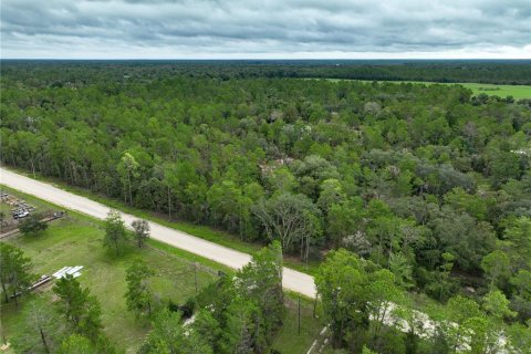 Terreno en venta en Williston, Florida № 1363345 - foto 2