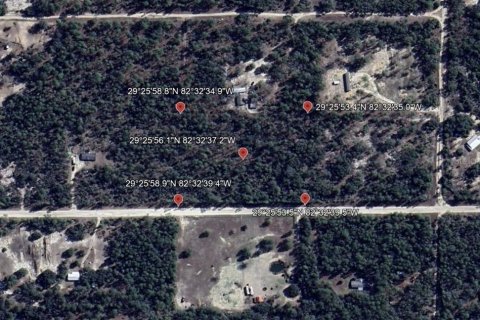 Terreno en venta en Williston, Florida № 1363345 - foto 14