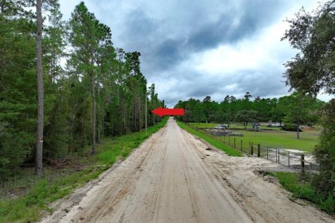 Terreno en venta en Williston, Florida № 1363345 - foto 13