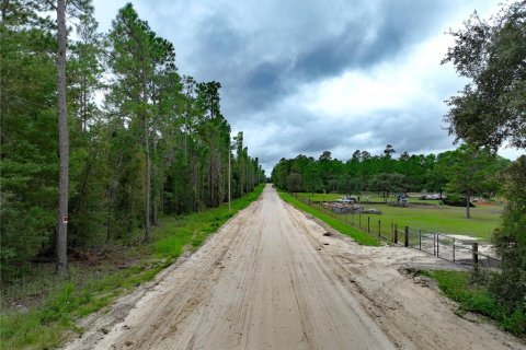 Terreno en venta en Williston, Florida № 1363345 - foto 6