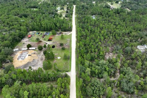 Terreno en venta en Williston, Florida № 1363345 - foto 27