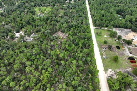 Terreno en venta en Williston, Florida № 1363345 - foto 21