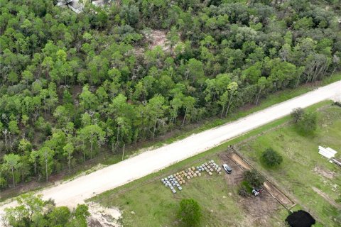 Land in Williston, Florida № 1363345 - photo 26