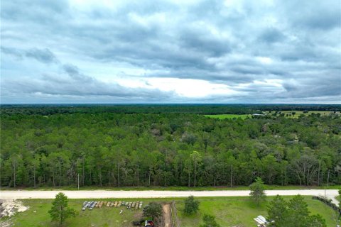 Terrain à vendre à Williston, Floride № 1363345 - photo 28