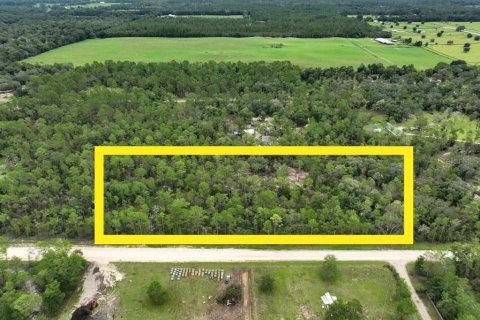 Terreno en venta en Williston, Florida № 1363345 - foto 3