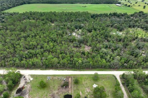 Land in Williston, Florida № 1363345 - photo 22