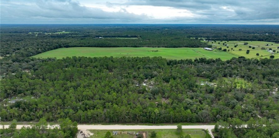 Terrain à Williston, Floride № 1363345