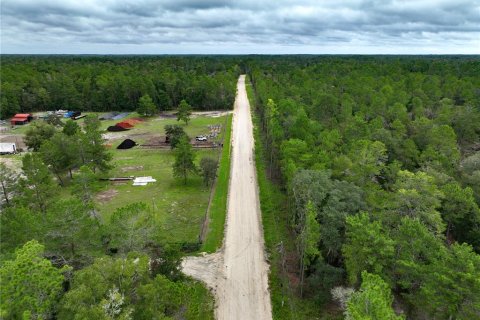 Terreno en venta en Williston, Florida № 1363345 - foto 29