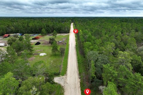 Terreno en venta en Williston, Florida № 1363345 - foto 11