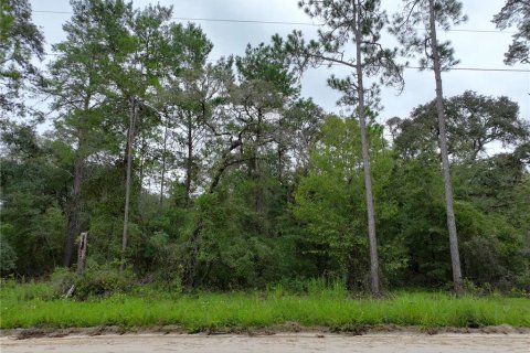 Terrain à vendre à Williston, Floride № 1363345 - photo 15