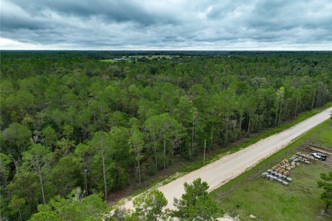 Terreno en venta en Williston, Florida № 1363345 - foto 16