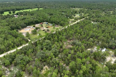 Terreno en venta en Williston, Florida № 1363345 - foto 19