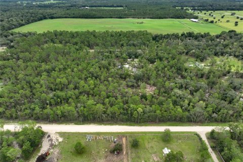 Terrain à vendre à Williston, Floride № 1363345 - photo 25