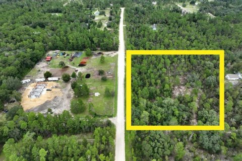 Terreno en venta en Williston, Florida № 1363345 - foto 4