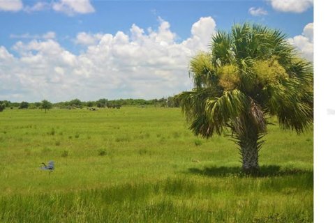 Купить земельный участок в Сент-Луси, Флорида № 915197 - фото 4