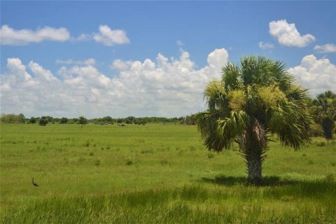 Купить земельный участок в Сент-Луси, Флорида № 915197 - фото 2
