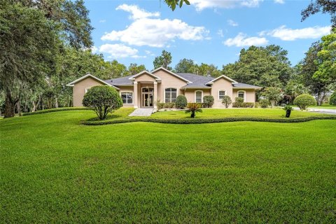 Villa ou maison à vendre à Ocala, Floride: 3 chambres, 343.09 m2 № 646844 - photo 1