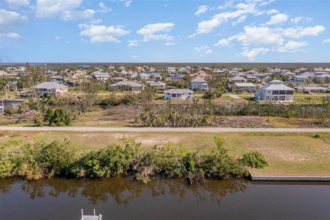 Land in Punta Gorda, Florida № 1399261 - photo 1