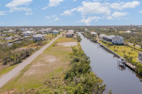 Land in Punta Gorda, Florida № 1399261 - photo 10