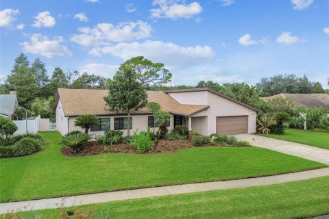 Villa ou maison à vendre à Tampa, Floride: 4 chambres, 312.8 m2 № 1399225 - photo 2