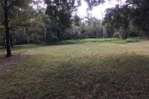 Terreno en venta en Plant City, Florida № 1362912 - foto 1