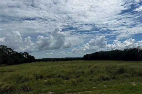 Terrain à vendre à Lake Wales, Floride № 1362914 - photo 2