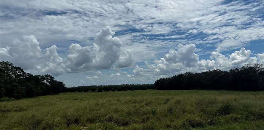 Terreno en Lake Wales, Florida № 1362914