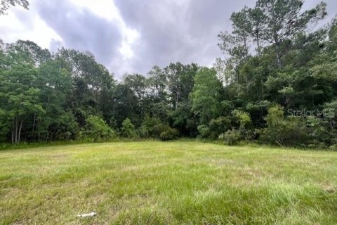 Land in Starke, Florida № 1362917 - photo 2