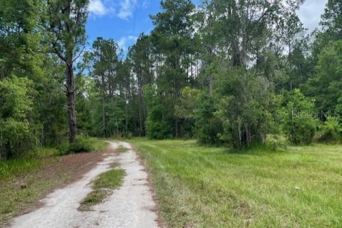 Terrain à vendre à Starke, Floride № 1362917 - photo 4