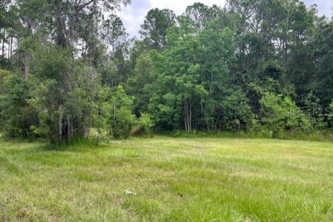 Terreno en venta en Starke, Florida № 1362917 - foto 3