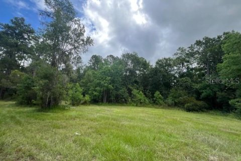 Terreno en venta en Starke, Florida № 1362917 - foto 1