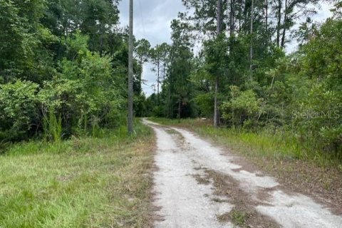 Terrain à vendre à Starke, Floride № 1362917 - photo 5