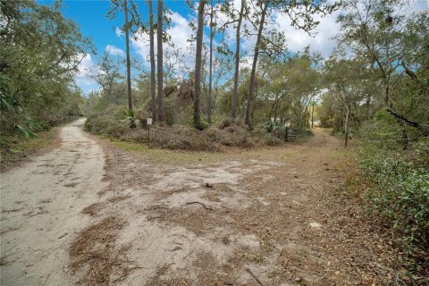 Terrain à vendre à Deltona, Floride № 1362906 - photo 4