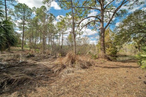 Terreno en venta en Deltona, Florida № 1362906 - foto 9