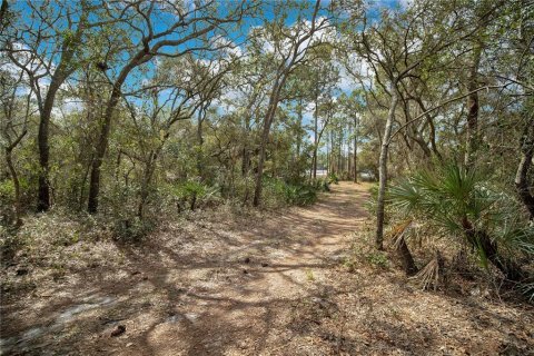 Terreno en venta en Deltona, Florida № 1362906 - foto 8