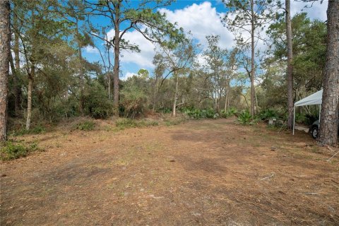 Land in Deltona, Florida № 1362906 - photo 7