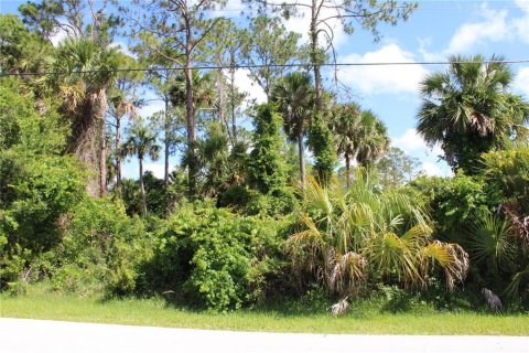 Terreno en venta en Palm Coast, Florida № 1365995 - foto 2