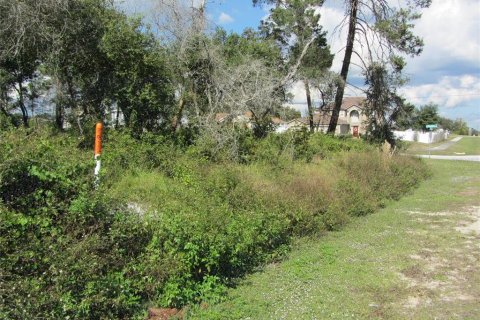 Terreno en venta en Deltona, Florida № 214627 - foto 5