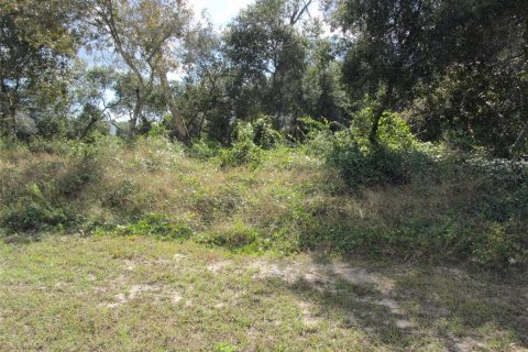 Купить земельный участок в Делтона, Флорида № 214627 - фото 6