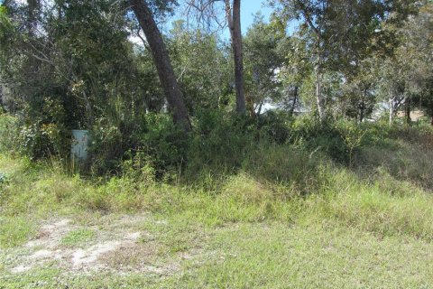 Terrain à vendre à Deltona, Floride № 214626 - photo 1