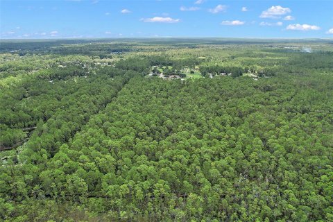 Land in Astor, Florida № 1367791 - photo 7