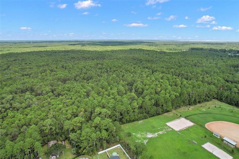 Terrain à vendre à Astor, Floride № 1367791 - photo 2