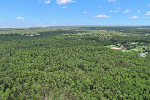 Terrain à vendre à Astor, Floride № 1367791 - photo 6