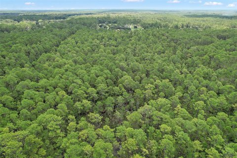 Land in Astor, Florida № 1367791 - photo 14